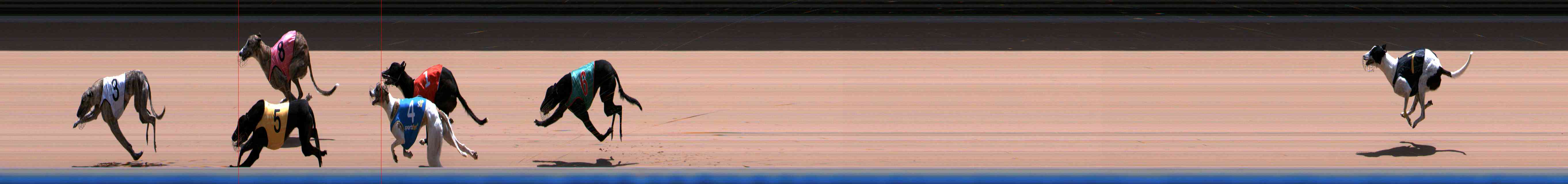 Photo finish for Healesville Race 12