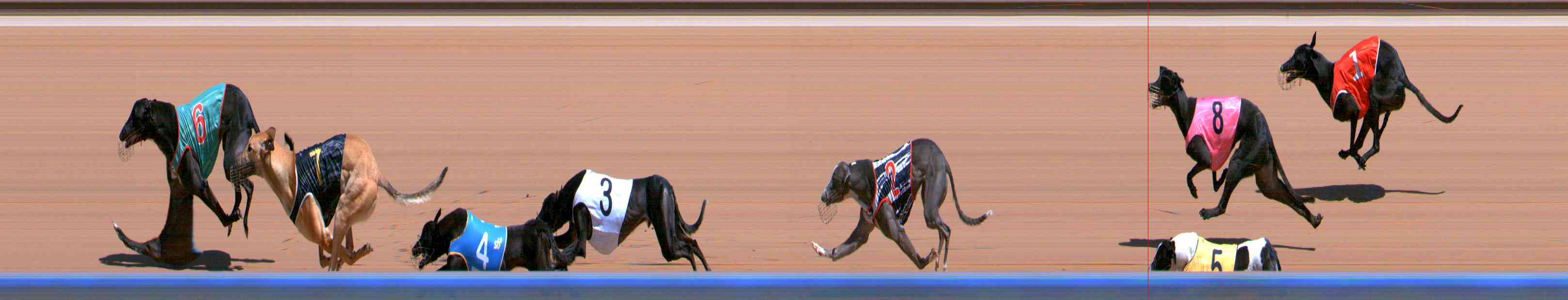 Photo finish for Healesville Race 2