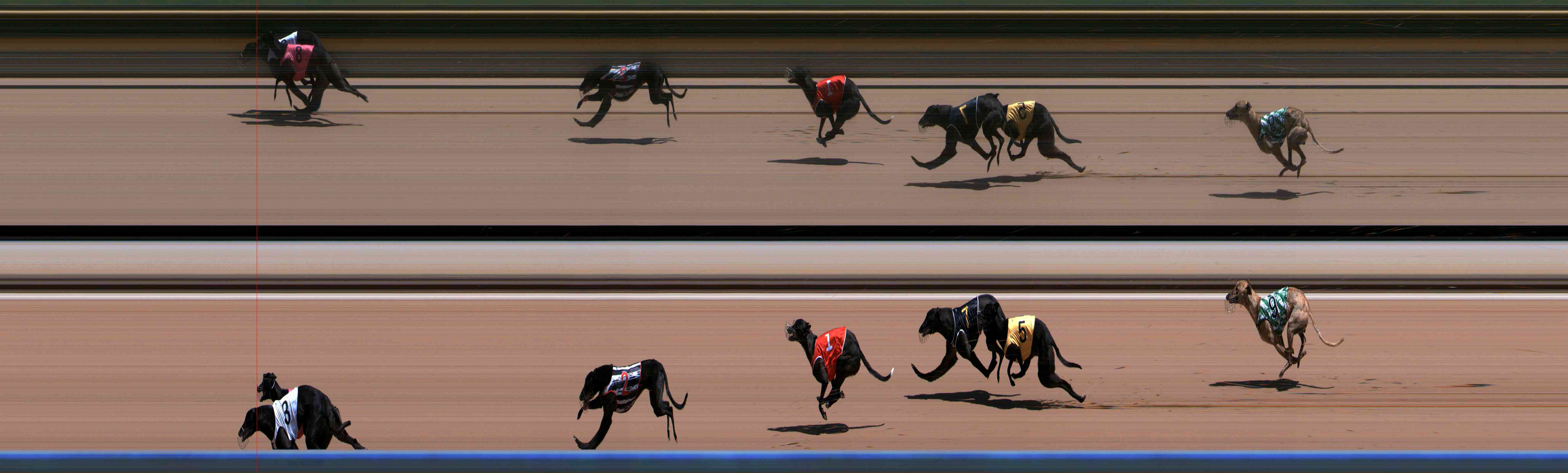 Photo finish for Healesville Race 3
