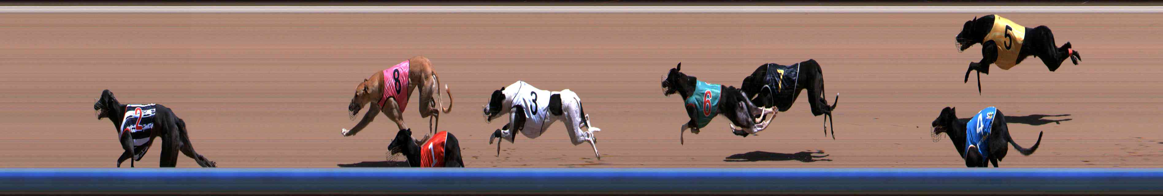Photo finish for Healesville Race 4