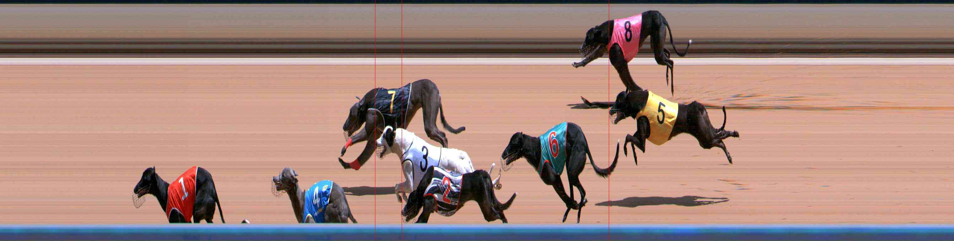Photo finish for Healesville Race 5