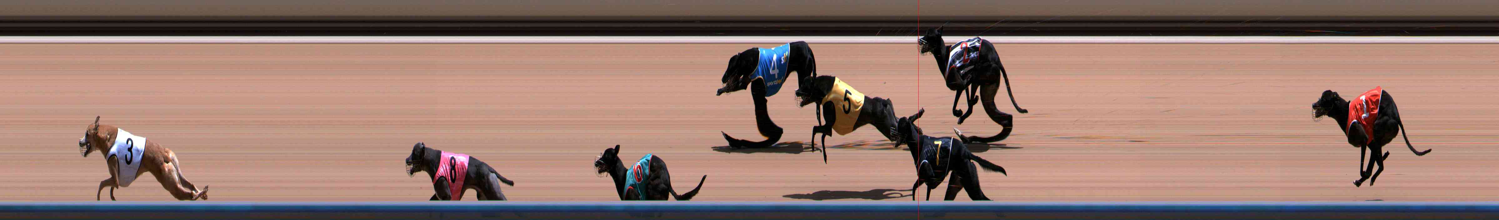 Photo finish for Healesville Race 7