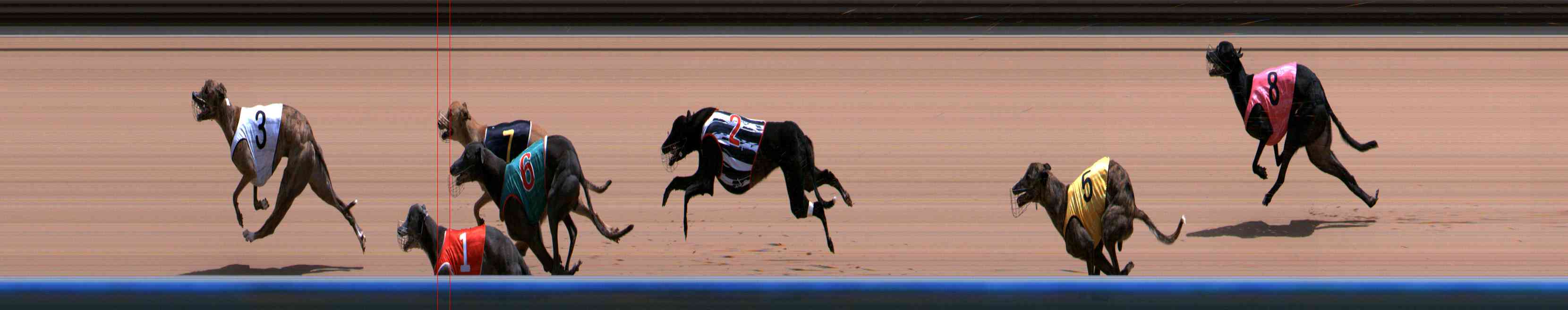Photo finish for Healesville Race 8