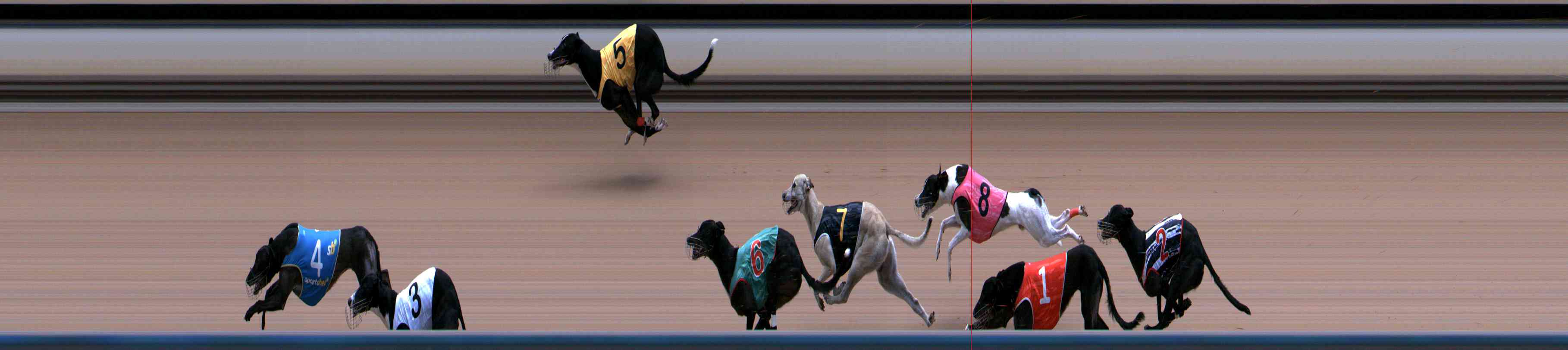 Photo finish for Healesville Race 9