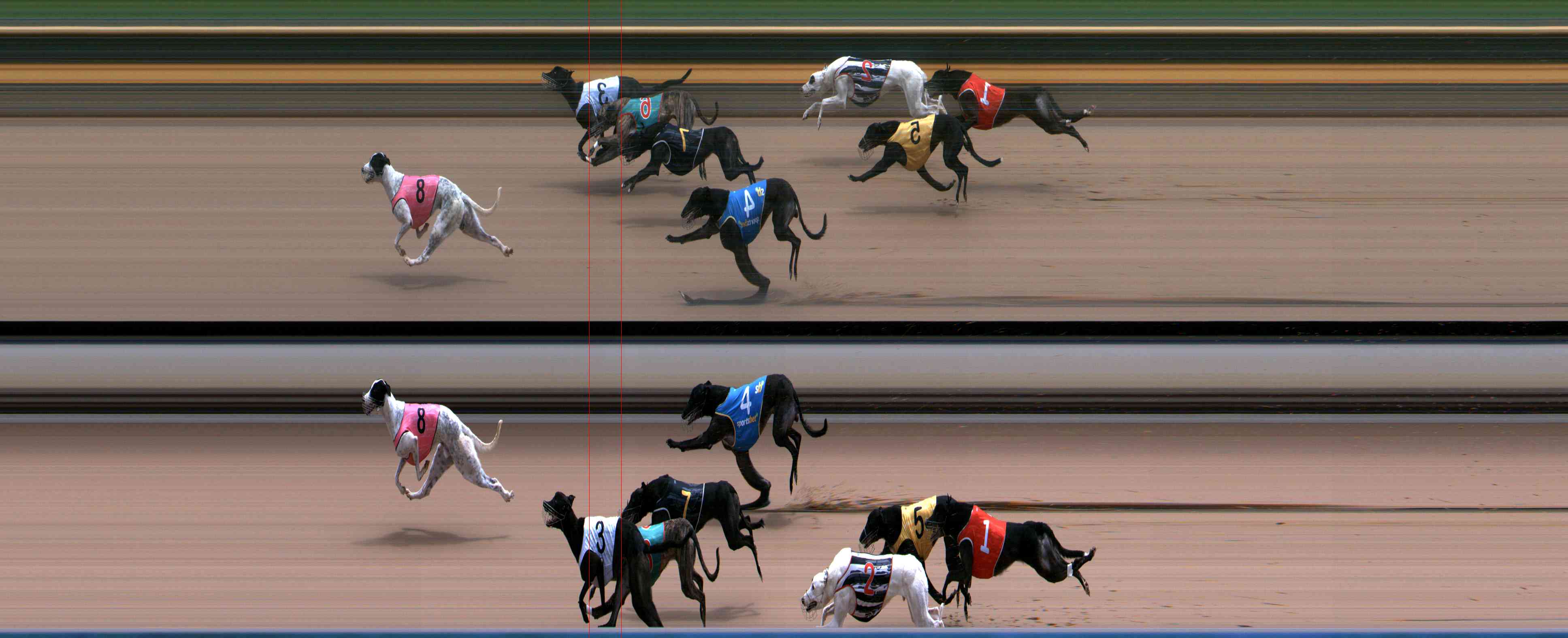 Photo finish for Healesville Race 10