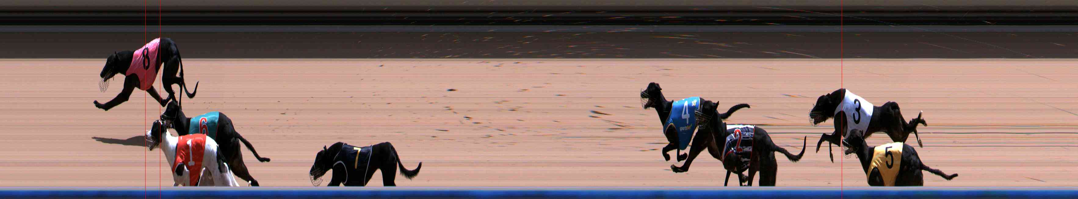 Photo finish for Healesville Race 11