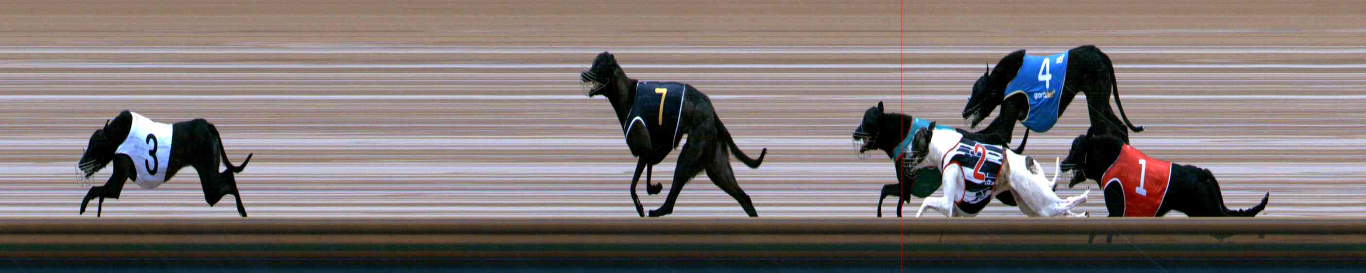 Photo finish for Healesville Race 1