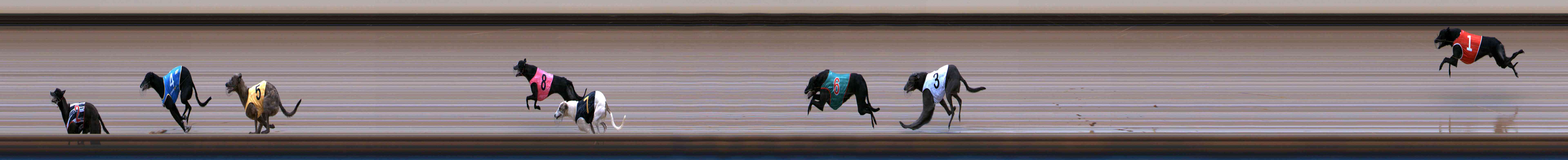Photo finish for Healesville Race 2