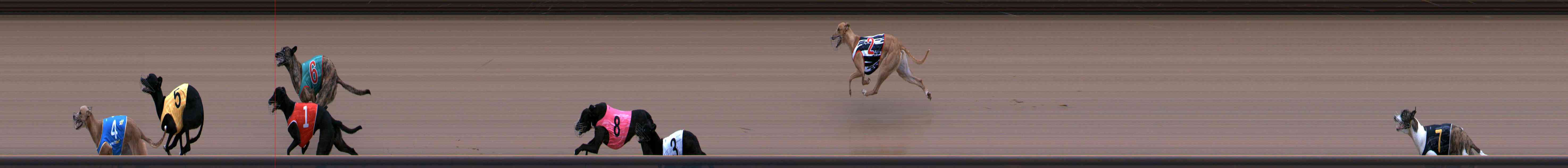 Photo finish for Healesville Race 3
