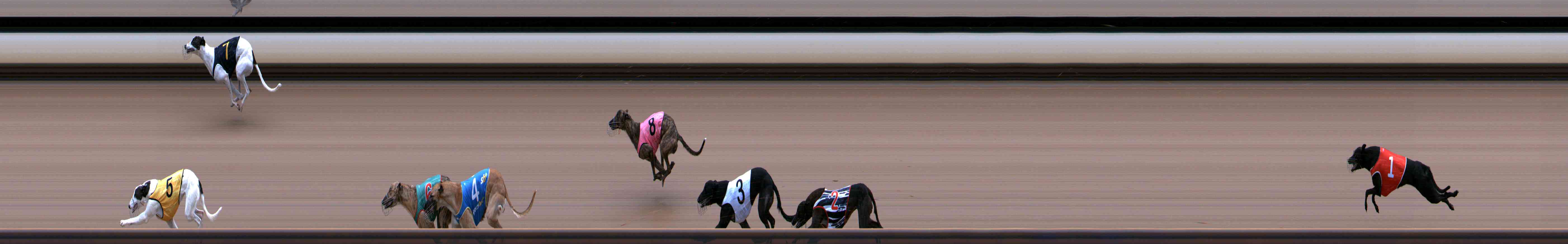 Photo finish for Healesville Race 4