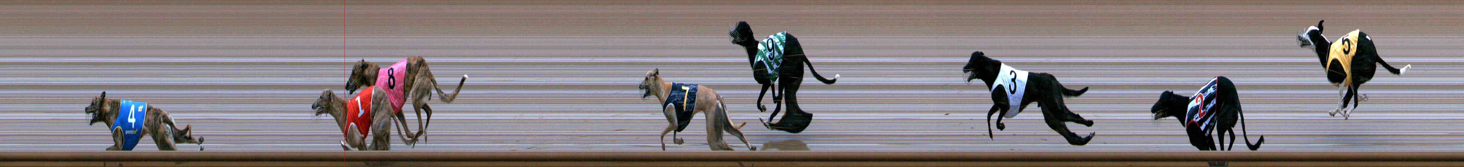 Photo finish for Healesville Race 6