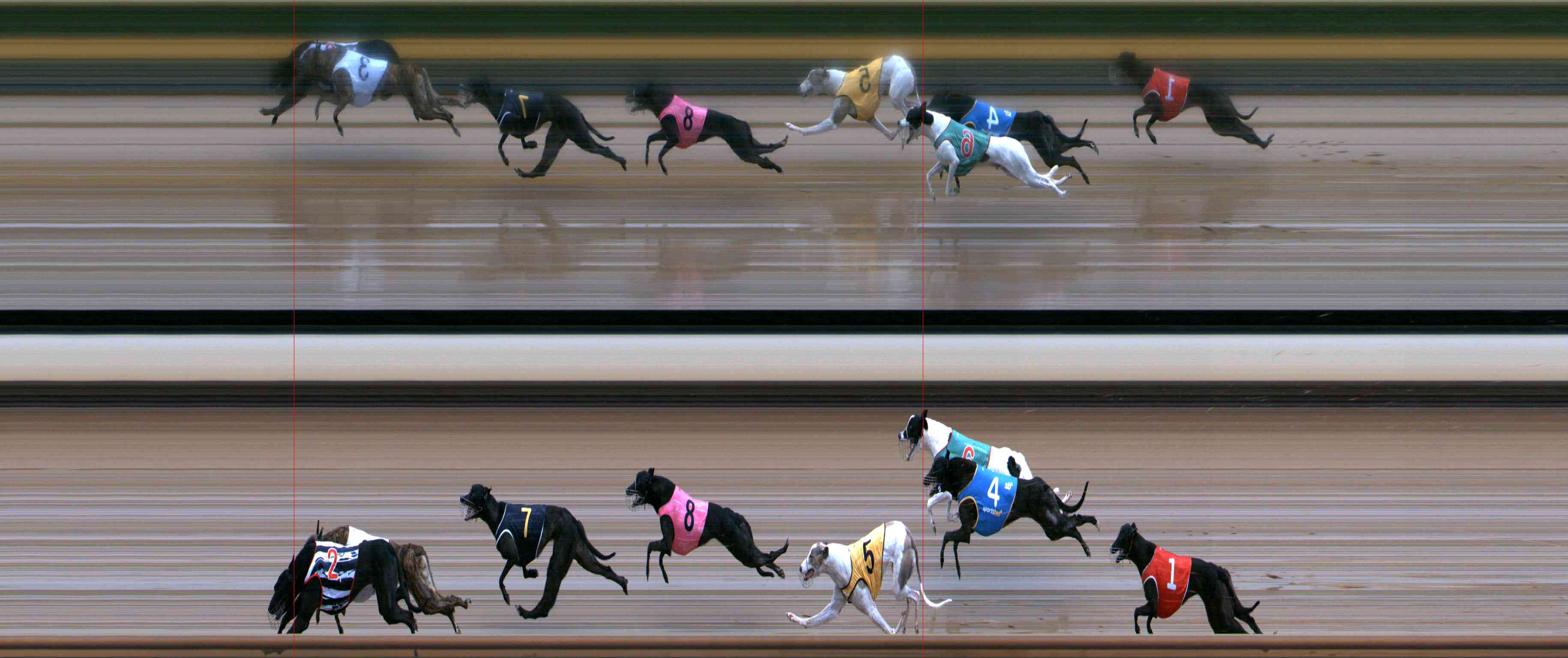 Photo finish for Healesville Race 9