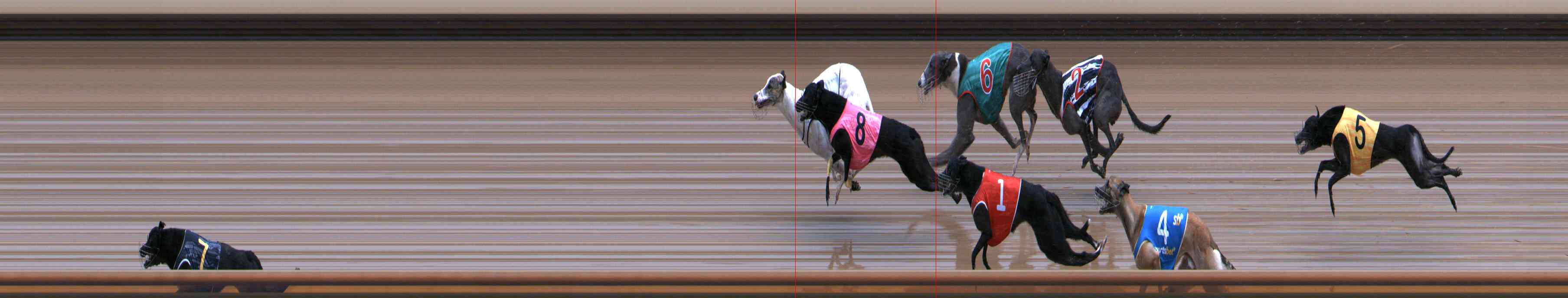 Photo finish for Healesville Race 10