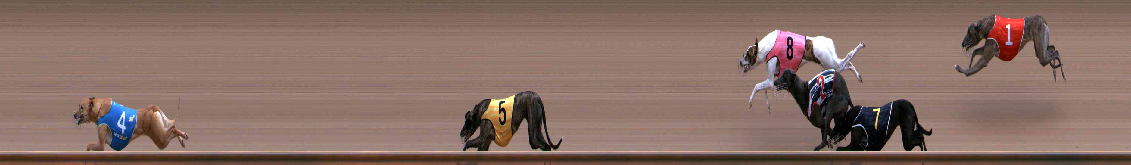 Photo finish for Healesville Race 1
