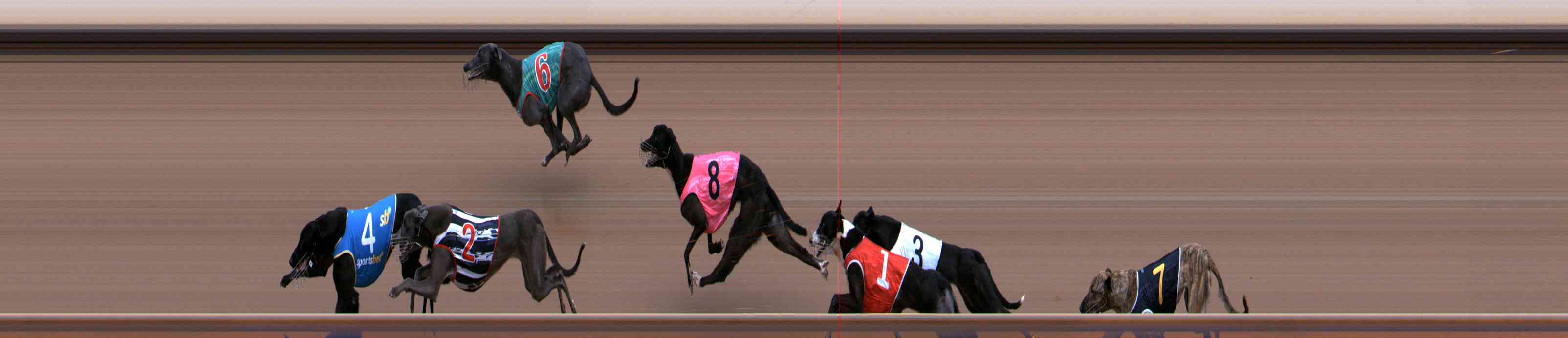 Photo finish for Healesville Race 2