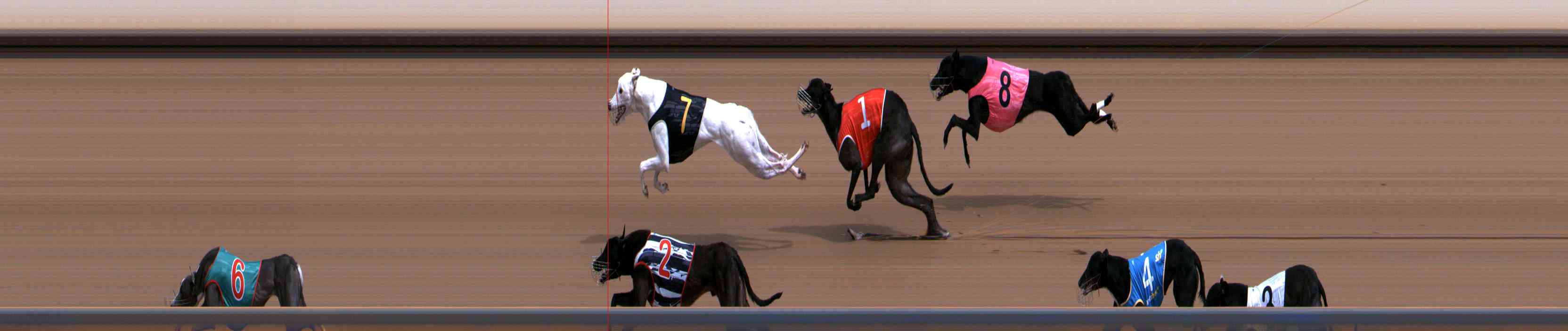 Photo finish for Healesville Race 4