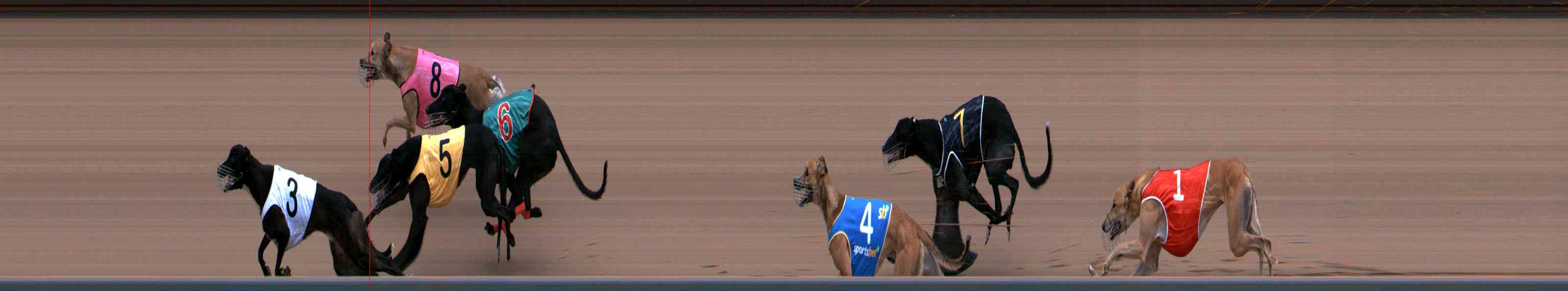 Photo finish for Healesville Race 5