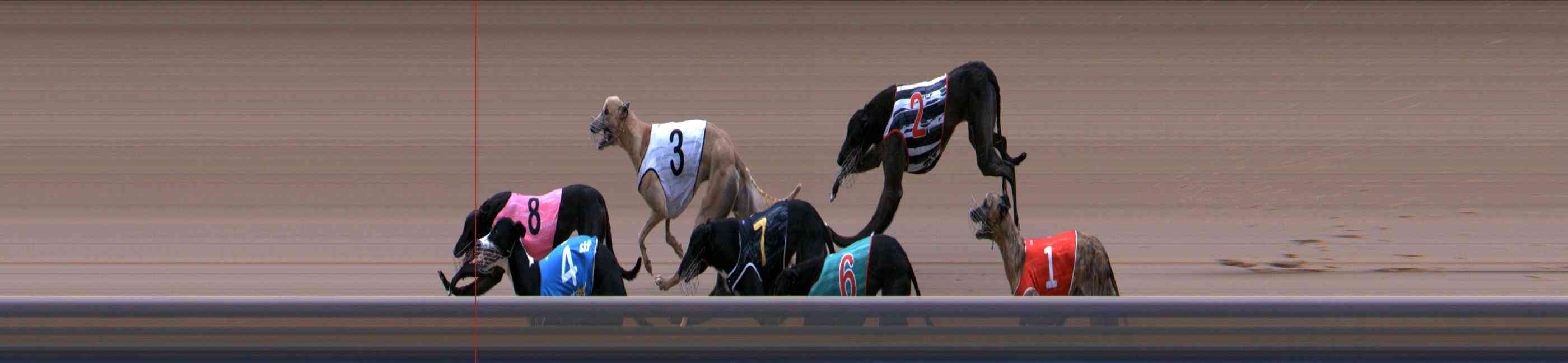 Photo finish for Healesville Race 6