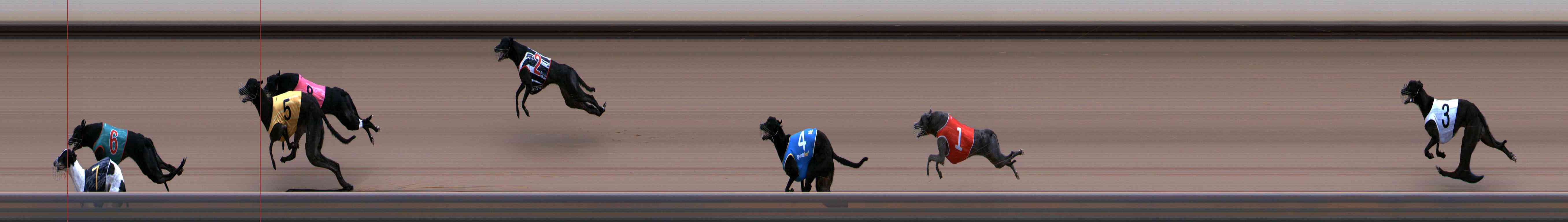 Photo finish for Healesville Race 7
