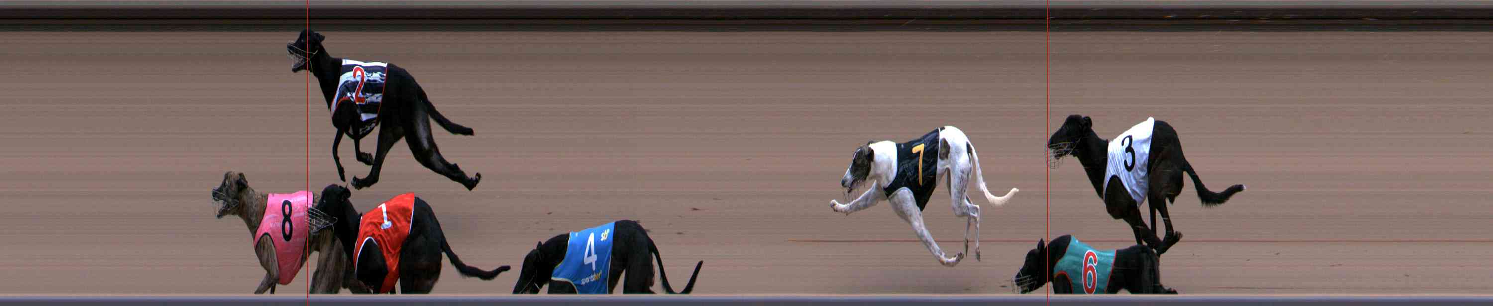 Photo finish for Healesville Race 8