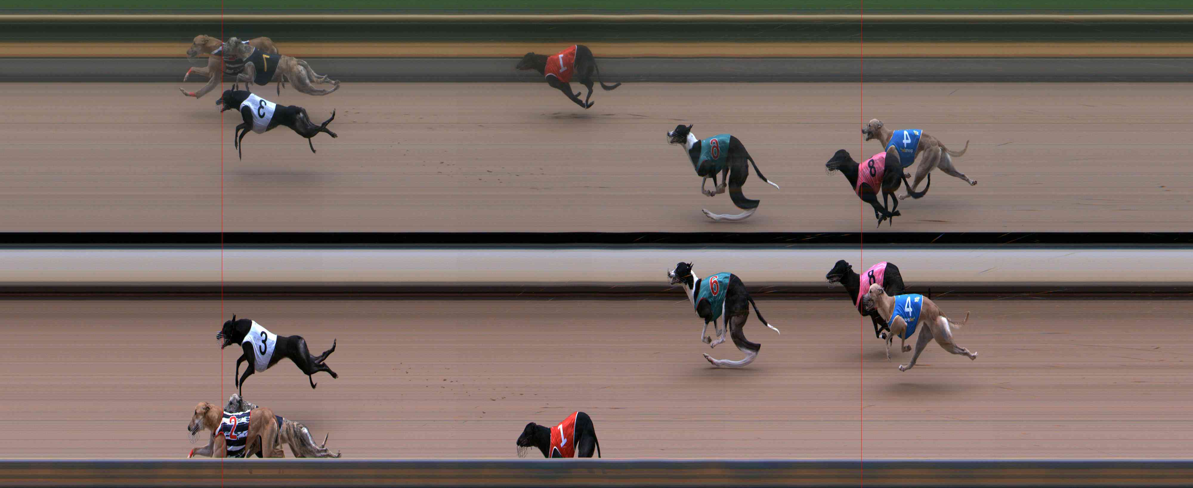 Photo finish for Healesville Race 9