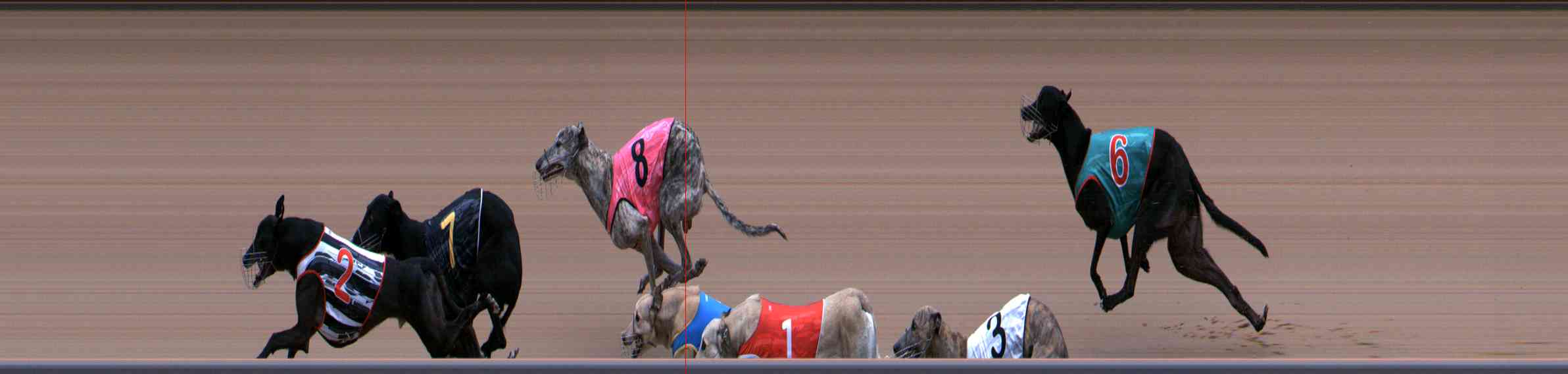 Photo finish for Healesville Race 10