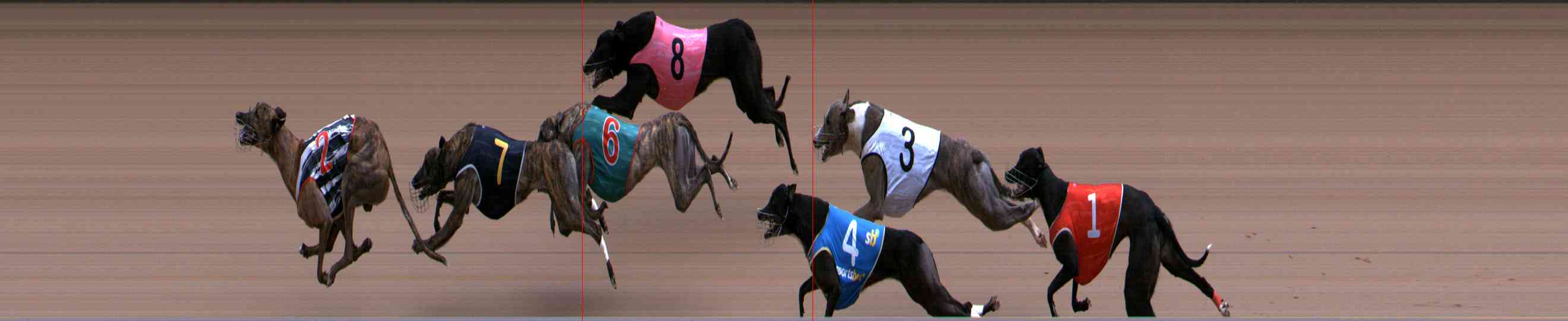 Photo finish for Healesville Race 11
