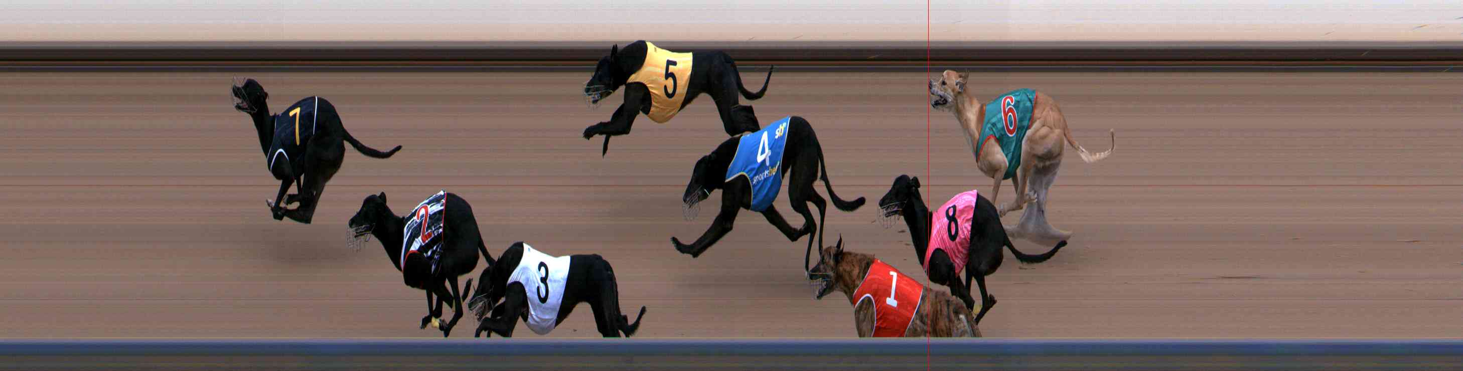 Photo finish for Healesville Race 12