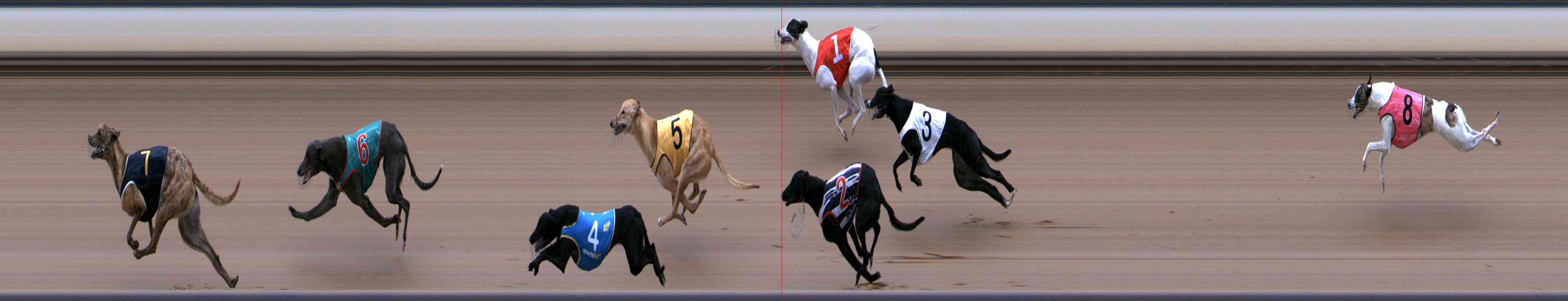 Photo finish for Healesville Race 1