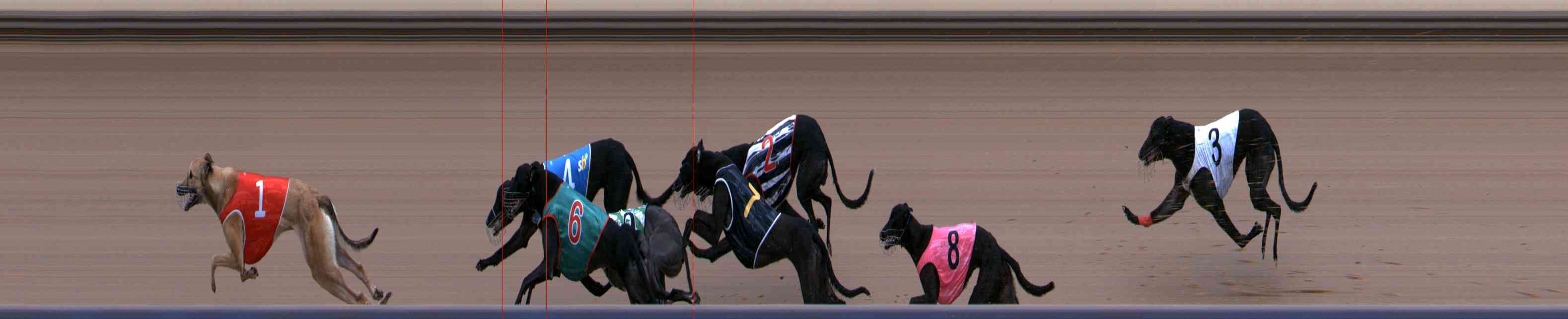Photo finish for Healesville Race 2
