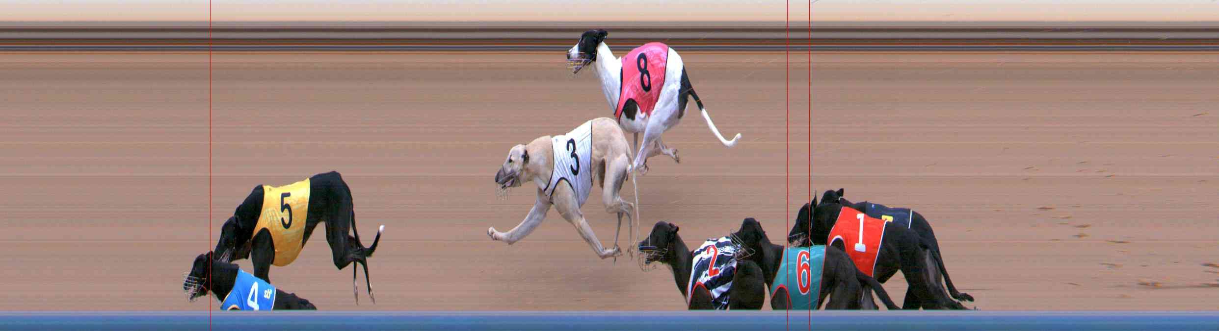 Photo finish for Healesville Race 4
