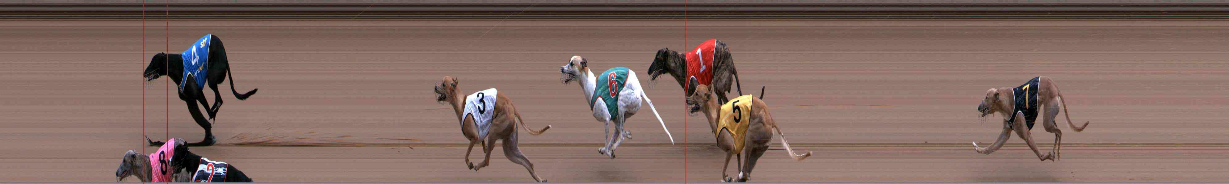 Photo finish for Healesville Race 5