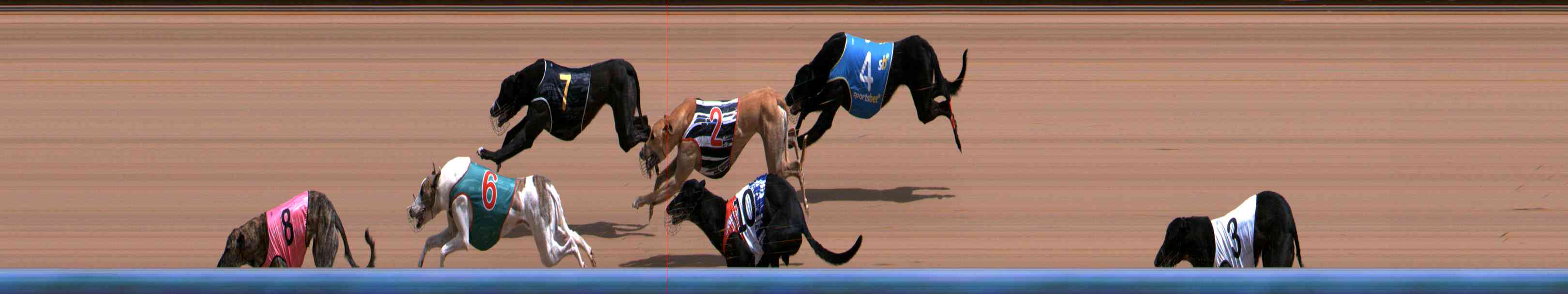 Photo finish for Healesville Race 6