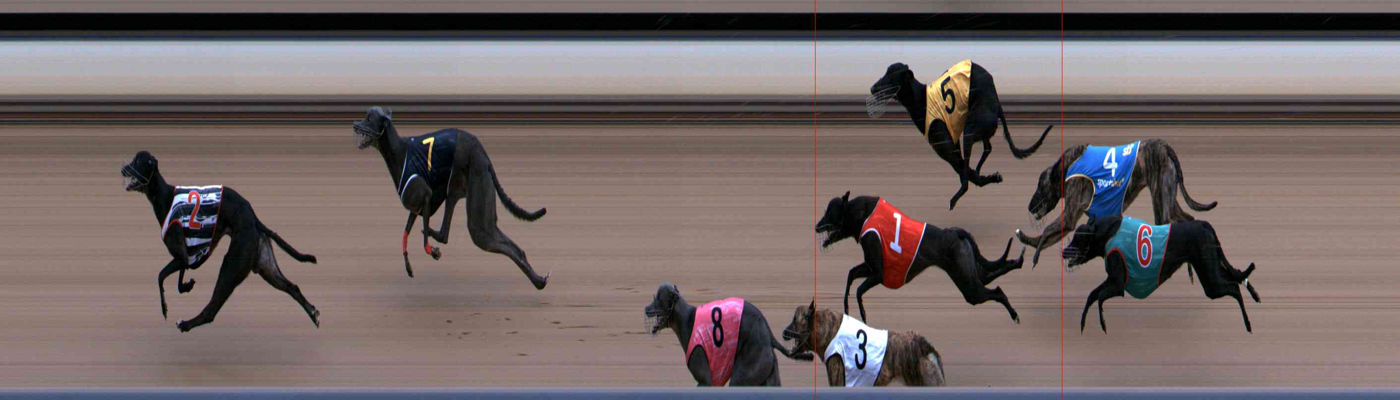 Photo finish for Healesville Race 7