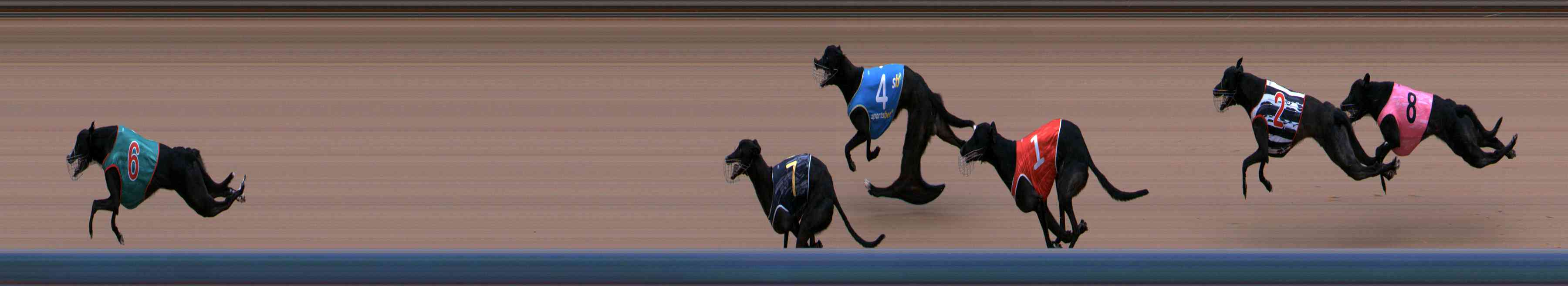 Photo finish for Healesville Race 9