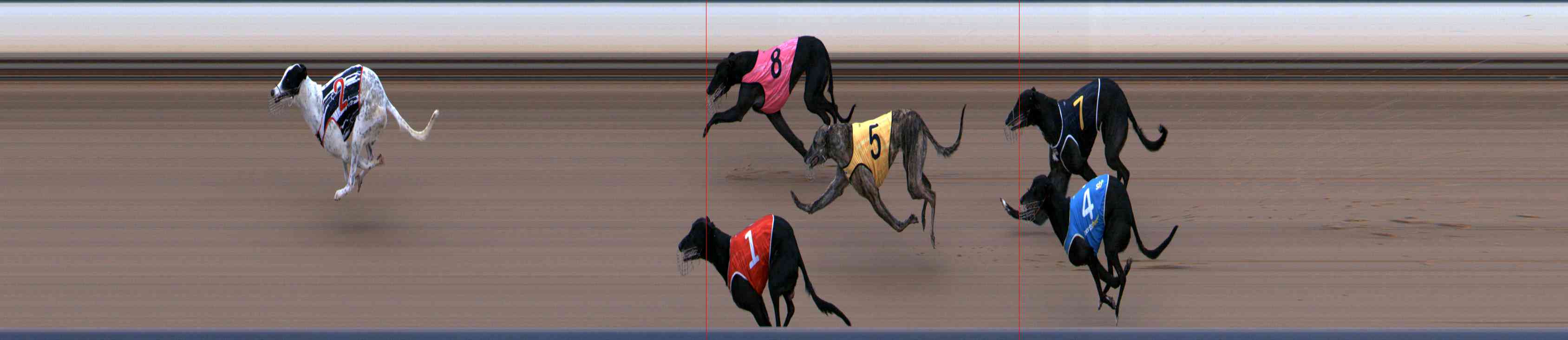 Photo finish for Healesville Race 10
