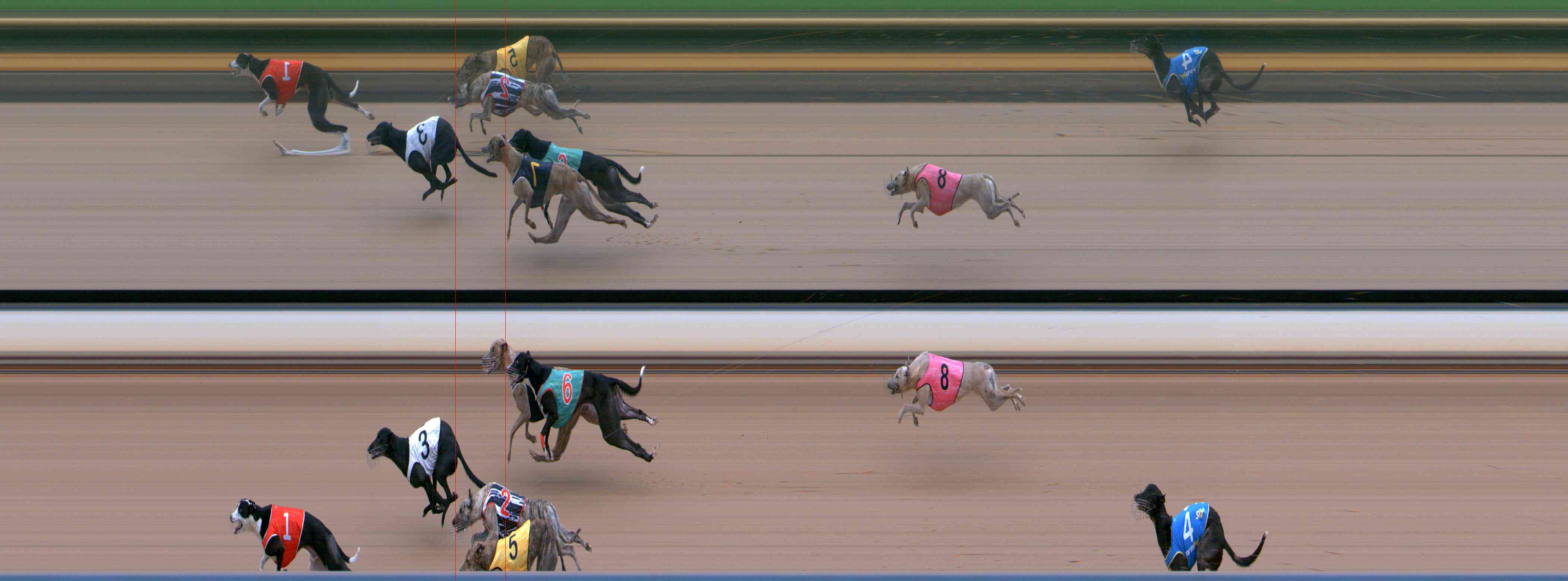 Photo finish for Healesville Race 11