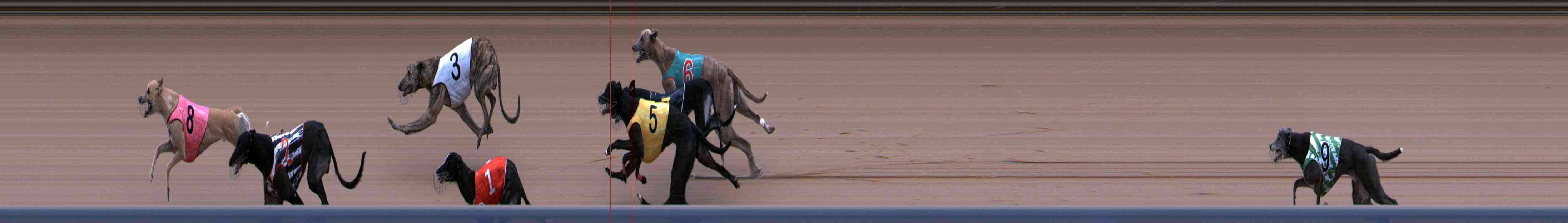 Photo finish for Healesville Race 12