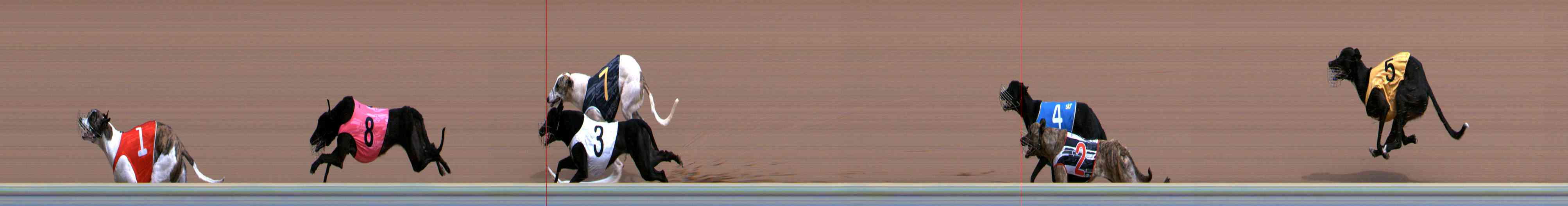 Photo finish for Healesville Race 1