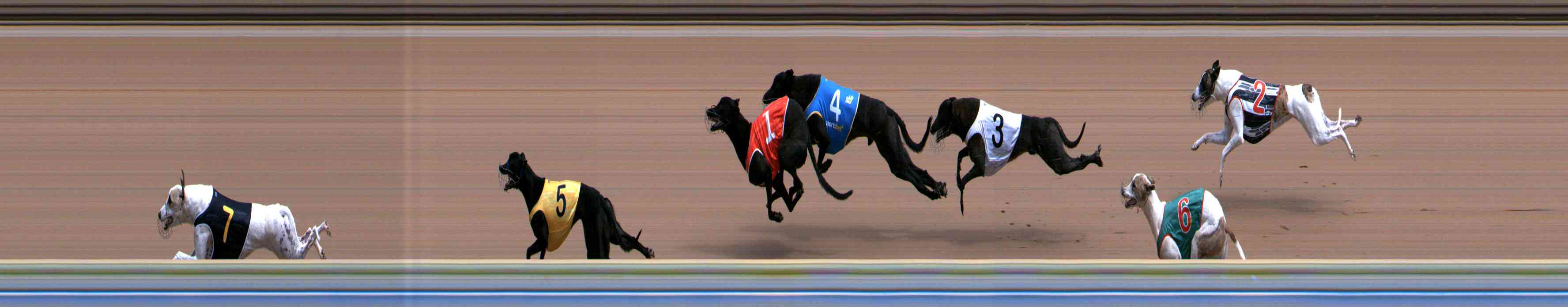 Photo finish for Healesville Race 2