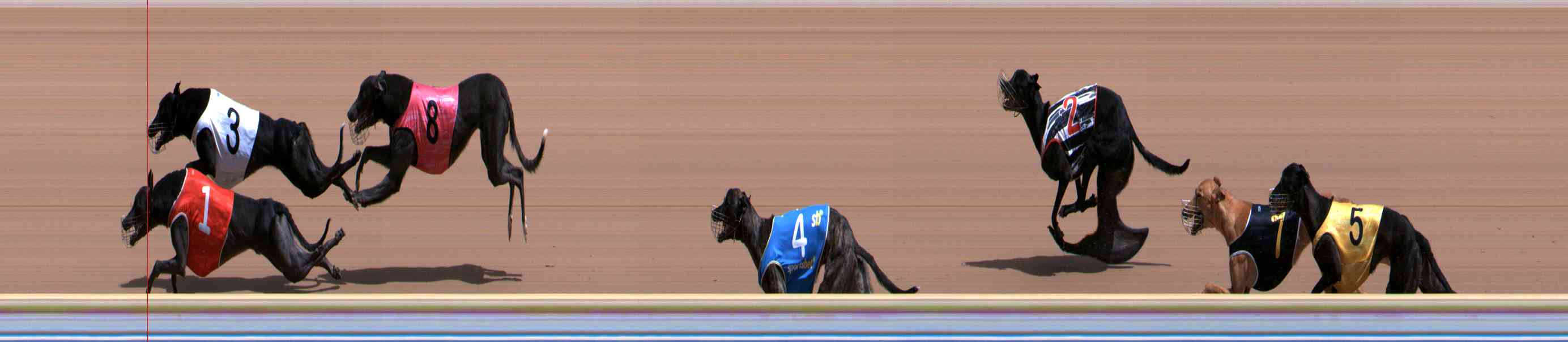 Photo finish for Healesville Race 4