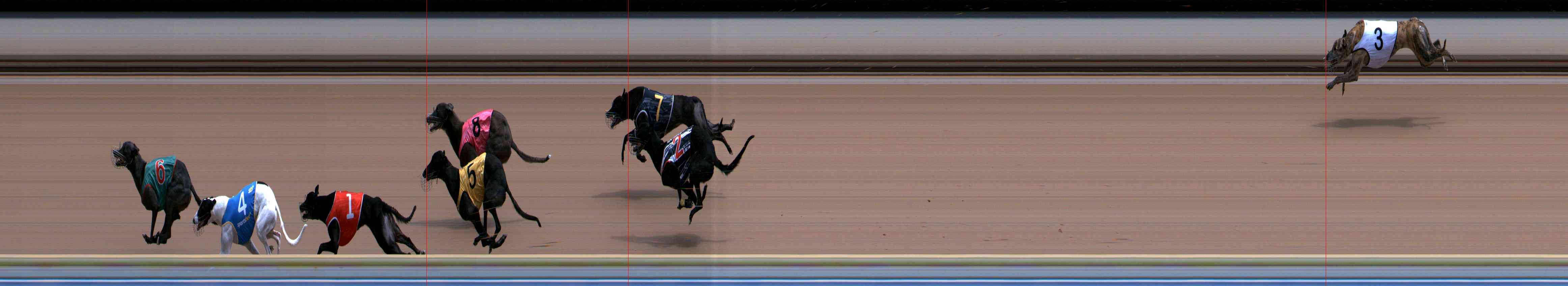 Photo finish for Healesville Race 5