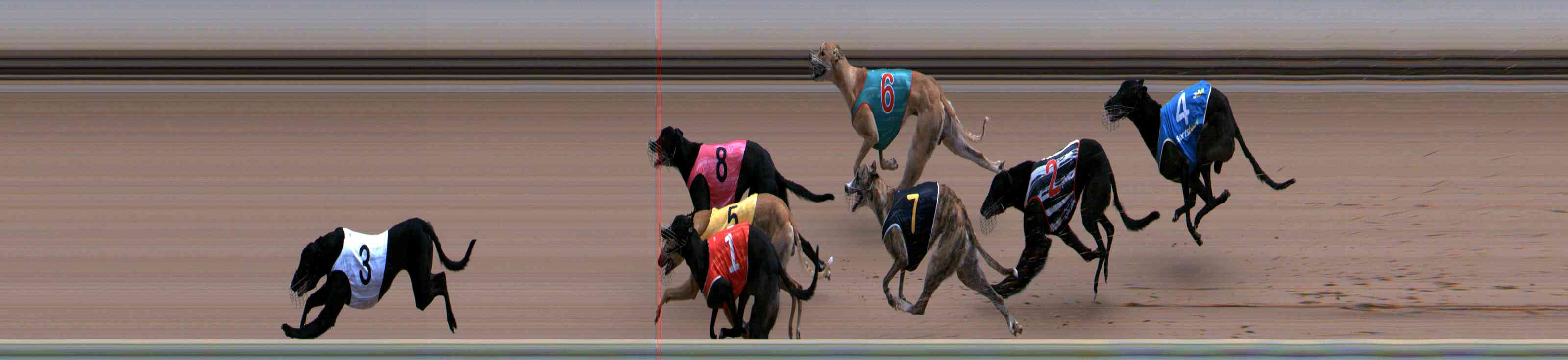 Photo finish for Healesville Race 6