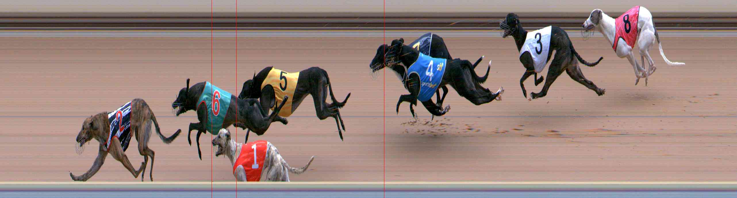 Photo finish for Healesville Race 7