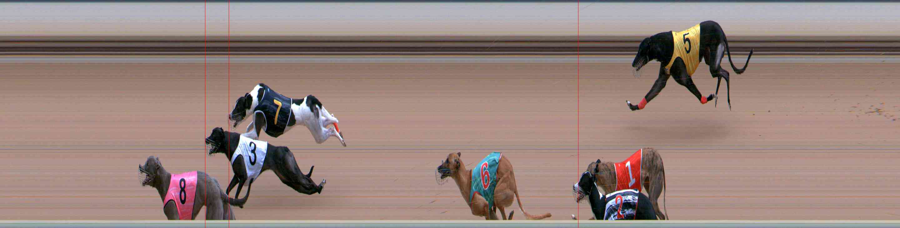 Photo finish for Healesville Race 8