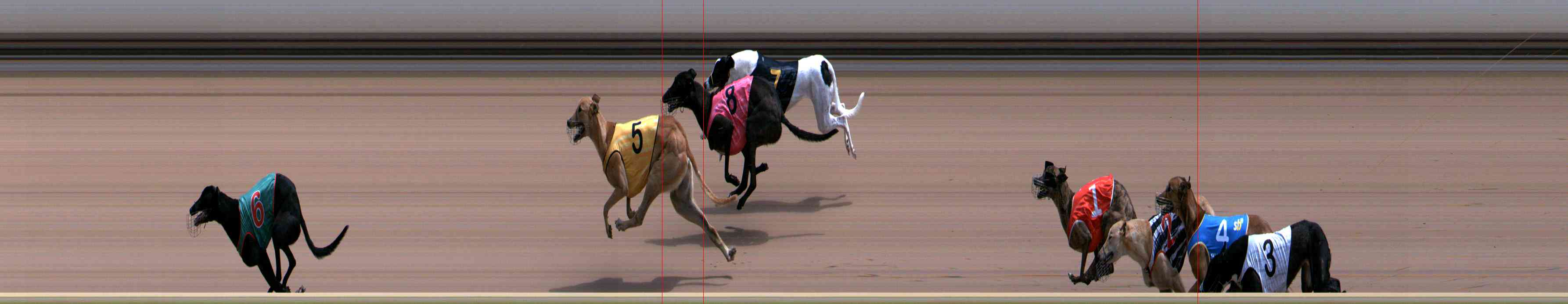 Photo finish for Healesville Race 9