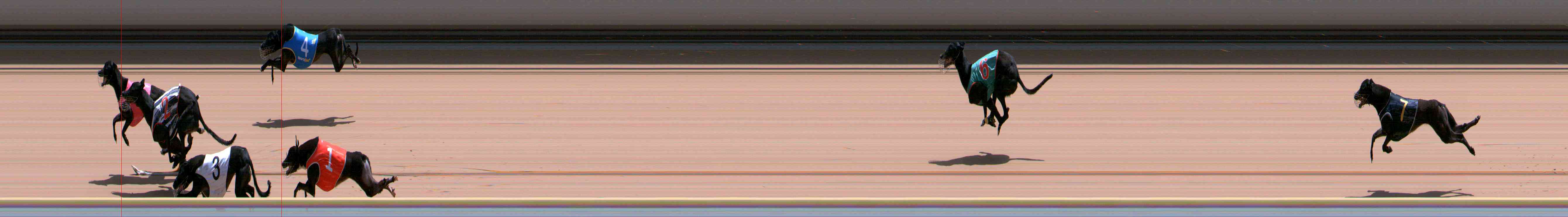Photo finish for Healesville Race 10
