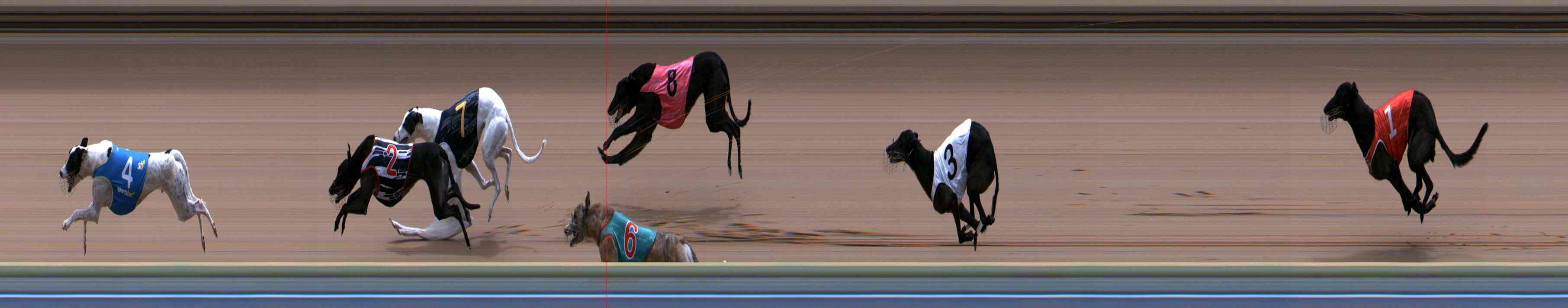Photo finish for Healesville Race 11