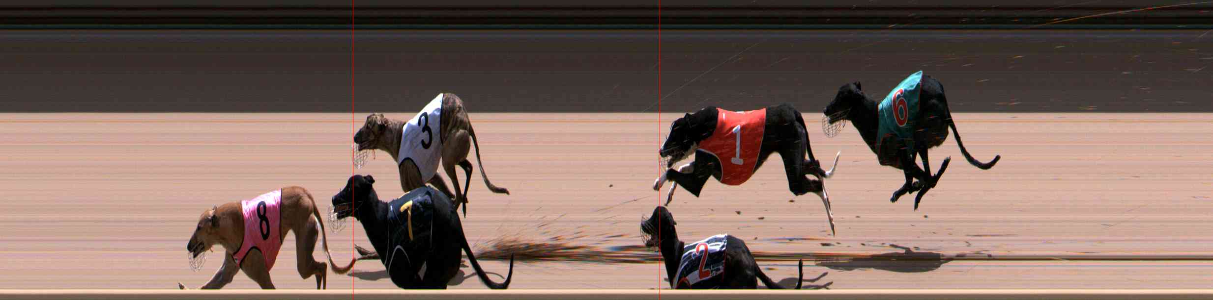 Photo finish for Healesville Race 12