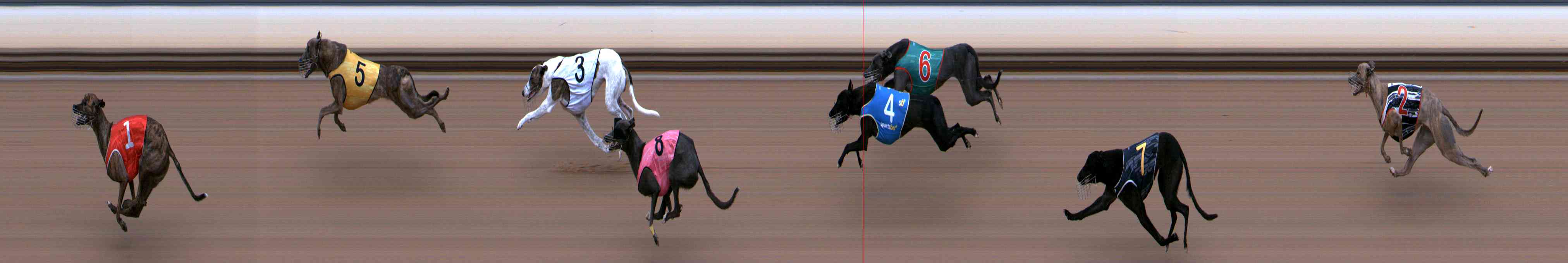 Photo finish for Healesville Race 1